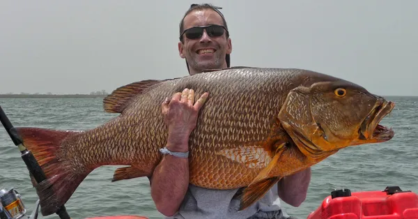 Africa Strike fish