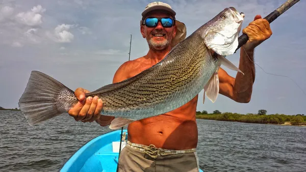 Africa Strike fish