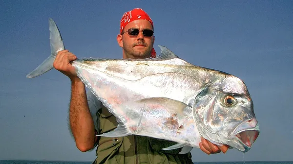 Africa Strike fish