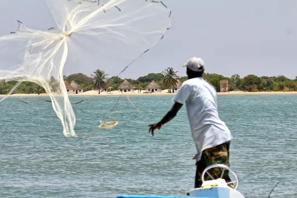 pêche pêche