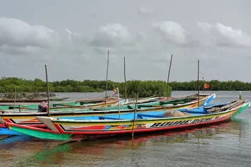 Excursiones Africa Strike 34