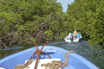 Excursiones Africa Strike 59