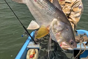 Pesca Africa Strike 1