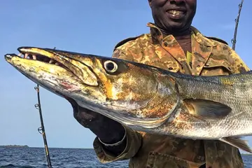 Pesca Africa Strike 43