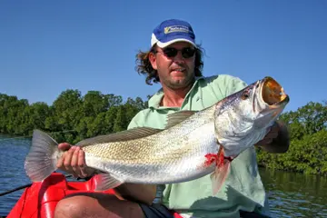 Pesca Africa Strike 49