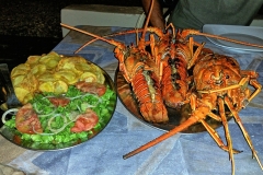 aragoste