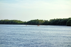 05nature