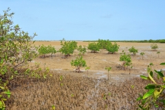 09nature