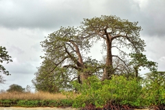 0Cnature