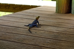 10nature