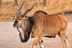 2Cnature
